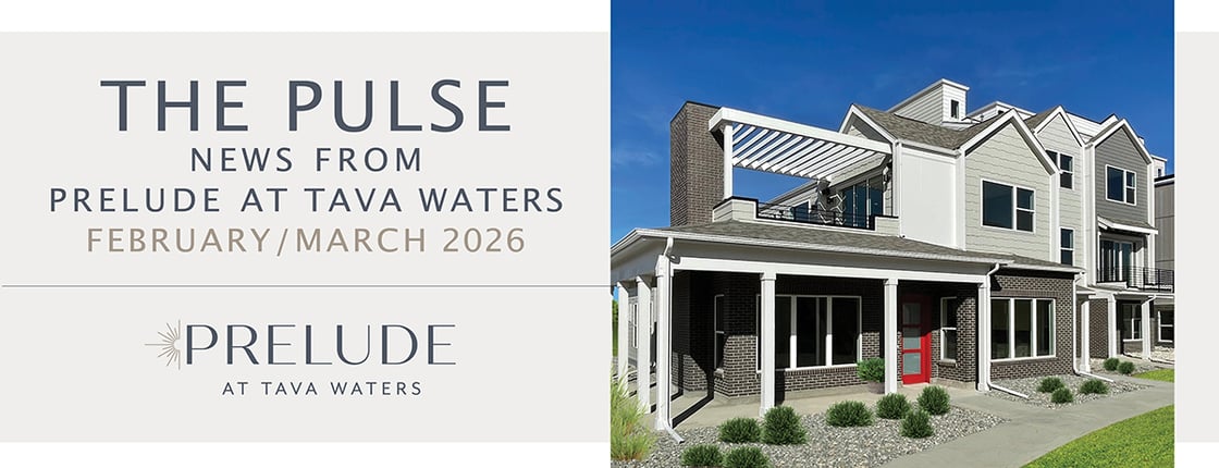 Prelude.Mailchimp.Banner.FEB.MAR-1