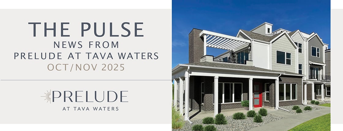 Prelude.Mailchimp.Banner.OCT.NOV