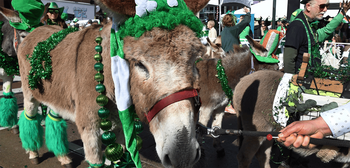 Screenshot 2025-03-10 at 10.59.06 AM