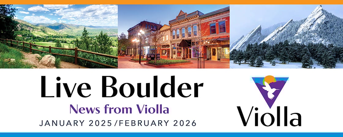 Violla.Hubspot.Banner.JAN.FEB.2026