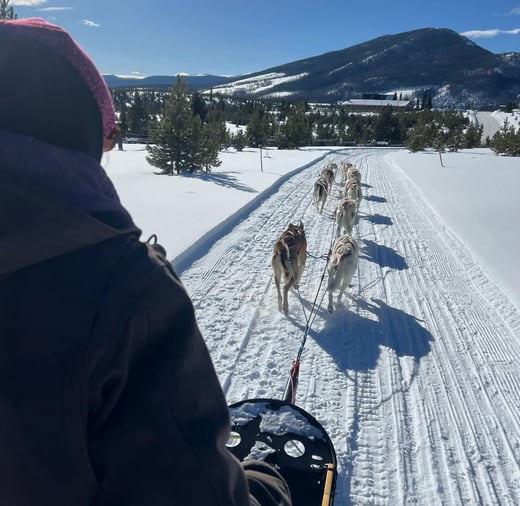 cc4e02_bd0095c4128b4810bac0db6eaed981ef~mv2