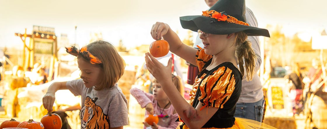 halloween_kids_pumpkin_6f38a9db-7bab-4008-a189-5a5cccbd0bbd-1