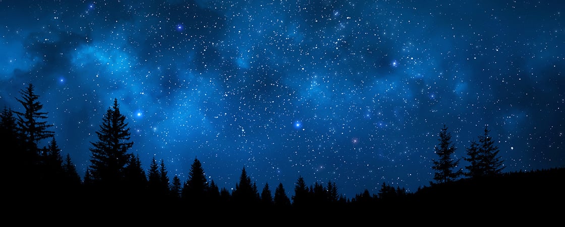 iStock-809971888 copy